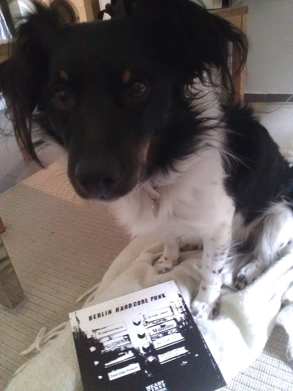 Hund Philos mit einem Cover des Berlin Tristesse-Samplers